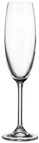 Ποτήρι Ούζου-Σαμπάνιας Κρυστάλλινο Colibri Crystal Bohemia 220ml CTB03202022