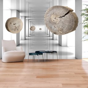 Φωτοταπετσαρία - Inventive Corridor 100x70