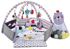 Βρεφικό Γυμναστήριο Bebe Stars Zebra 100-181