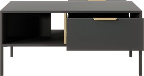 Τραπεζάκι σαλονιού Larry-Anthraki