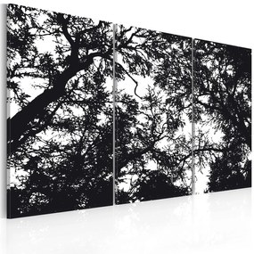 Πίνακας - Dense forest 120x80