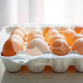 Σετ των 2 Intra Συλλεκτικό Ξύλινο Παζλ Plywood 4mm - Κουτί αυγών με απαλό φωτισμό Σε Ξύλινο Κουτί - Διαστάσεις: 10x10 cm – 25 κομμάτια