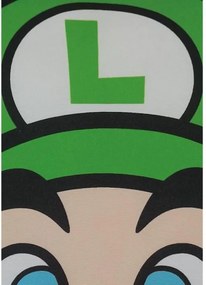 Μαξιλάρι Mario Bros 39 x 3 x 41 cm Πολύχρωμο πολυεστέρας Έντυπη Παιδικά