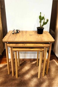 Ζιγκόν (3 Τεμαχίων) Πεύκο LOTRAL 60x38x52