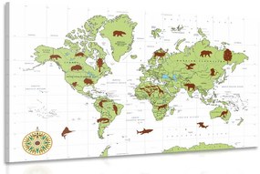 Εικόνα χάρτη με ζώα - 90x60
