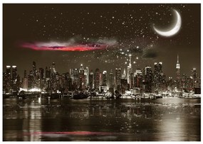 Φωτοταπετσαρία - Starry Night Over NY 350x245