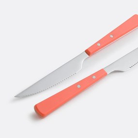 Σετ 4 μαχαιριών για μπριζόλα με καρφωτές λαβές, Roby