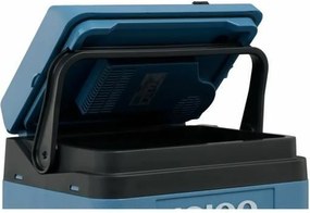 Φορητό Ψυγείο Θερμός Igloo71 24 L Πλαστική ύλη