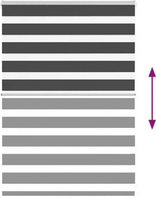 vidaXL Ζέβρα τυφλή Μαύρο Πλάτος υφάσματος 110,9 εκ. Πολυεστέρας
