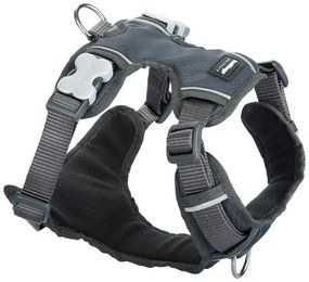 Λουρί Σκύλου Red Dingo Γεμισμένο Γκρι S