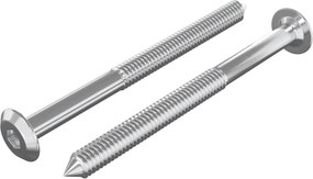 vidaXL Βίδες επίπλων 2 pcs Ασημί M6 x 70 χιλ. Ατσάλι
