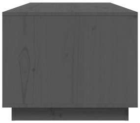 vidaXL Τραπεζάκι Σαλονιού Γκρι 100x50x41 εκ. Μασίφ Ξύλο Πεύκου