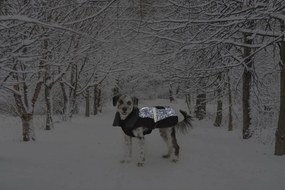 Παλτό Σκύλου Dog Gone Smart Μαύρο 35 cm