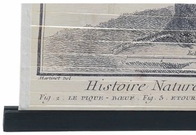 Καμβάς DKD Home Decor Πουλιά 60 x 2 x 90 cm Cottage (4 Τεμάχια)