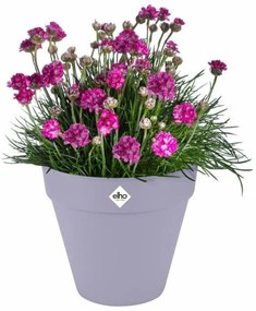 Βάζο Λουλουδιών Elho