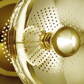 Απλίκα Τοίχου Wanted Wall with Backplate Ø32cm Χρυσό