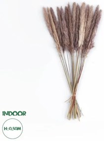 Αποξηραμένο Διακοσμητικό Μπουκέτο Pampas Kάφε Artificial Garden 21215 Globostar-21215-Καφέ 21215