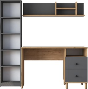 Γραφείο Καρυδιά / Ανθρακί HA115 120x50x161,8