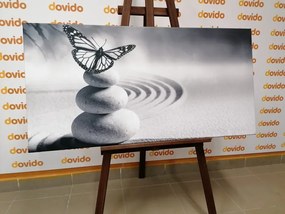 Ισορροπία εικόνας από πέτρες και πεταλούδα σε ασπρόμαυρο σχέδιο