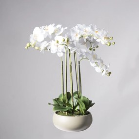 Supergreens Τεχνητό Φυτό Ορχιδέα Phalaenopsis Real Touch Λευκή με Κασπώ 80 εκ. - Πολυαιθυλένιο - 9170-6