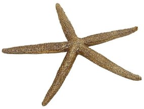 Διακοσμητικός Αστερίας MT2713K6 12,5x11x1,5cm Gold Espiel Πολυρεσίνη