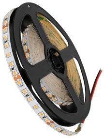 GloboStar® 70237 Ταινία LED SMD 2835 5m 8W/m 120LED/m 1208lm/m 120° DC 24V IP20 Ροζ - 5 Χρόνια Εγγύηση