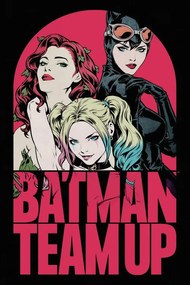 Εικονογράφηση Batman - Team Up