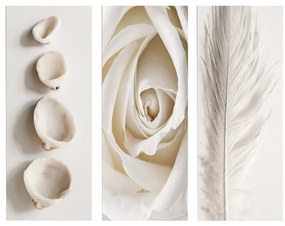 ΠΙΝΑΚΑΣ ΤΡΙΠΤΥΧΟ MDF NATURAL ELEMENTS HM7204.05 60X0,3X50 εκ.