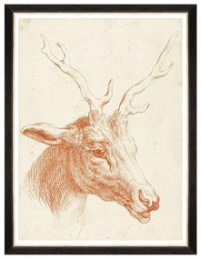 Κάδρο Deer Head FA13240 60x80cm Brown MindTheGap Κάθετοι Ξύλο