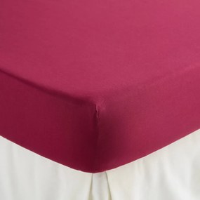 Σεντόνι με λάστιχο από βαμβακερό περκάλι με γύρισμα 35 εκ., 200 κλωστές