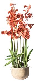 Supergreens Τεχνητό Φυτό Ορχιδέα Oncidium Κόκκινη με Κασπώ 90 εκ. - Πολυαιθυλένιο - 1270-6