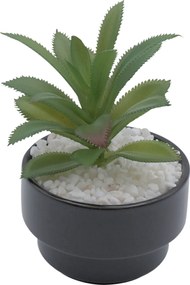 Τεχνητό Φυτό σε Μοντέρνο Μαύρο Κεραμικό Γλαστράκι 8x14cm