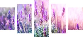 Εικόνα 5 μερών μαγικών λουλουδιών λεβάντας - 100x50