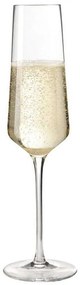 Ποτήρι Σαμπάνιας Puccini 069550L 280ml Clear Leonardo Glass