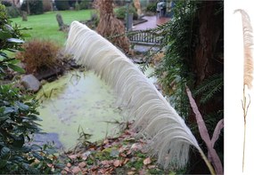 Κλαδί Γρασίδι ArteLibre Τεχνητό Εκρού 120cm