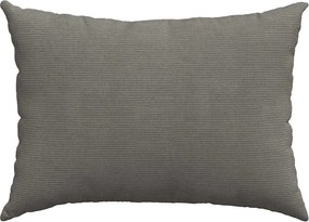 vidaXL Μαξιλάρι Καναπέ 2 pcs Ανοιχτό γκρι 70 x 50 cm