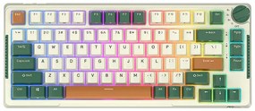 Wireless mechanical keyboard Royal Kludge RKH81 RGB, Sky cyan switch (green)