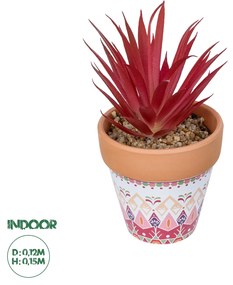 GloboStar® Artificial Garden AIR PLANT NEOPHYTUM POTTED PLANT 21042 Διακοσμητικό Φυτό Νεόφυτο Φ12 x Υ15cm