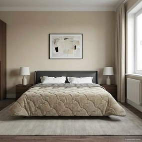 VidaXL Κουβέρτα ολόκληρου του χρόνου 200 x 200 cm