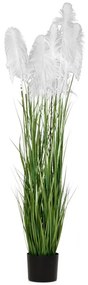 Φυτό Pampas 85075 23x220cm White Πλαστικό