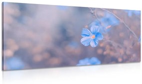 Εικόνα μπλε λουλουδιών σε vintage φόντο