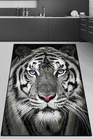 Χαλί Savage 287CHL1491 Multi-Grey Conceptum Hypnose 100X150cm