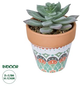 Artificial Garden SUCCULENT SEDEVERIA POTTED PLANT 21041 Διακοσμητικό Φυτό Σεδεβέρια  Φ11x Υ14cm