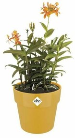 Βάζο Λουλουδιών Elho Ώχρα Ø 30 cm