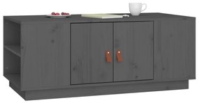 vidaXL Τραπεζάκι Σαλονιού Γκρι 100x50x41 εκ. Μασίφ Ξύλο Πεύκου