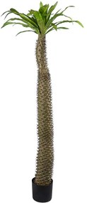Τεχνητό Δέντρο Pachypodium Lamerei Palm Tree 20130 Φ70x175cm Brown-Green GloboStar Polyethylene