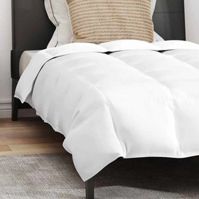 vidaXL Πάπλωμα Άλλο με μαξιλάρι 2 pcs Λευκό Πούπουλο