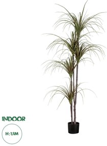 20016 GloboStar® Artificial Garden DRAGON BLOOD TREE 20016 - Τεχνητό Διακοσμητικό Φυτό Δράκαινα Υ180cm
