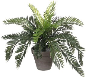 Τεχνητό Φυτό Σε Γλάστρα 37εκ. Edelman Cycas 1044529