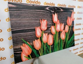 Εικόνα με γοητευτικές πορτοκαλί τουλίπες σε ξύλινο φόντο